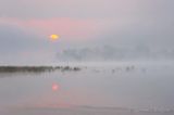 Foggy Sunrise 90D86452