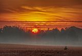 Sunrise Beyond Distant Ground Fog 90D86877-81
