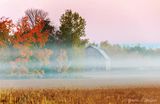 Autumn Barn At Sunrise In Ground Fog 90D89676