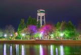 Centennial Park At Night 90D91381-5