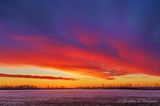 Red Sky In The Morning Over Frosty Field 90D92248-52