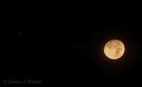 Jupiter & The Moon Appulse DSCN152691