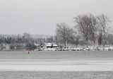 Cottage On Wintry Gemmells Point DSCN153928