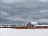 Winter Barn DSCN156374