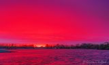 Red Sky Morning 90D110930