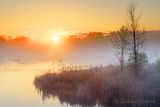 Sunrise Beyond Misty Swale 90D111043