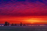 Sunrise Beyond Distant Rideau Canal 90D113341-5
