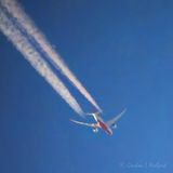 Airliner Contrails DSCN004728
