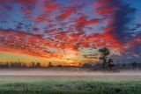 Sunrise Beyond Ground Fog 90D116830