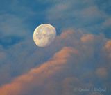 Moon In The Clouds At Dawn DSCN008304