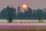Sunrise Beyond Ground Fog 90D119776-80