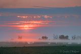 Clouded Sunrise Beyond Lifting Ground Fog 90D120423