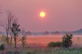 Rising Sun Beyond Distant Ground Fog 90D120730
