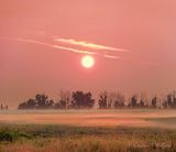 Sunrise Beyond Wispy Ground Fog 90D120835