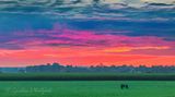 Clouded Sunrise Beyond Pasture 90D121427-31