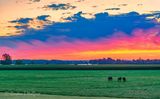 Sunrise Beyond Pasture 90D122408