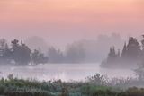 Foggy Rideau Canal At Dawn 90D126916-20