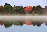 Autumn Tree Beyond Misty Lower Reach 90D127208