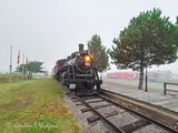 CN 1112 Steam Locomotive On A Foggy Morning (iPhone14-3592)