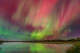 20241010 Aurora Beyond Irish Creek Reflected 90D130964