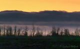 Cloud Bank Beyond Treeline 90D133202