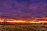 Dawn Clouds 90D133259