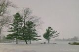 Lower Reach Park At Night In Snowstorm 90D134354