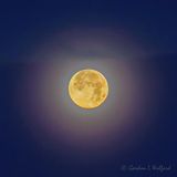 2024 Cold Moon 90D134781