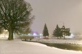 Turtle Island On A Foggy Night 90D134449
