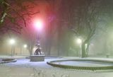 Centennial Park In Night Fog 90D135573