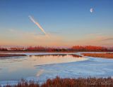 Contrail & Moon Beyond The Swale DSCN018053