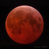 20250314 Lunar Eclipse Blood Moon DSCN019761