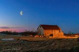 Moon Beyond Barn At Dawn 90D147478