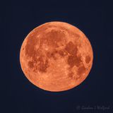 2025 April Pink Moon DSCN021544