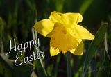 Happy Easter DSCN022063