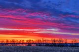 Rideau Canal Sunrise 90D151506