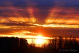 Sunrise Sunrays 90D151594