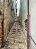IMG_0276.jpg