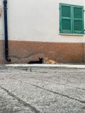 IMG_0058.jpg