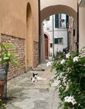 IMG_9734.jpg