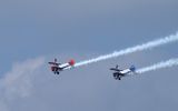 Z81_3874 - T.JPG