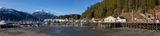 Pelican Feb 2024 pano-.jpg