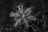 Snow flake 25 M B depth map-.jpg