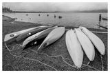 Canoe Rentals in Black & White