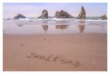 Could Be Seal Rock