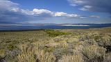 Mono Basin Scenic Area Visitor Center