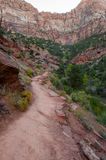 Watchman Trail