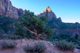 Watchman Trail
