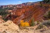 Rim Trail