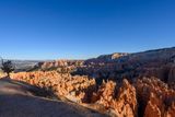 Rim Trail
